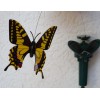 Solární létající motýl Solar Butterlfy Otakárek fenyklový