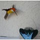 Solární létající kolibřík Solar Hummingbird oranžový
