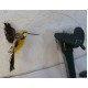 Solární létající kolibřík Solar Hummingbird žlutý