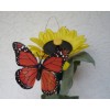 Solární létající motýl na slunečnici Solar Butterlfy oranžový Ohniváček 